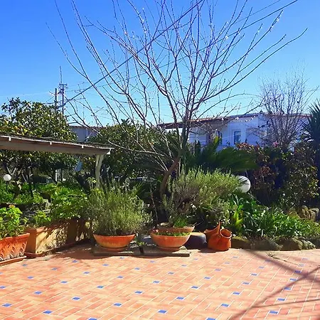 Holiday Apartments Lacco Ameno