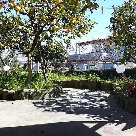 Holiday Apartments Nyaraló